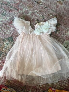 Tutu Du Monde Pale Pink Tulle Dress with White Floral Applique